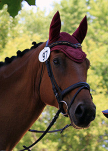 How to Trim Your Horse's Ears