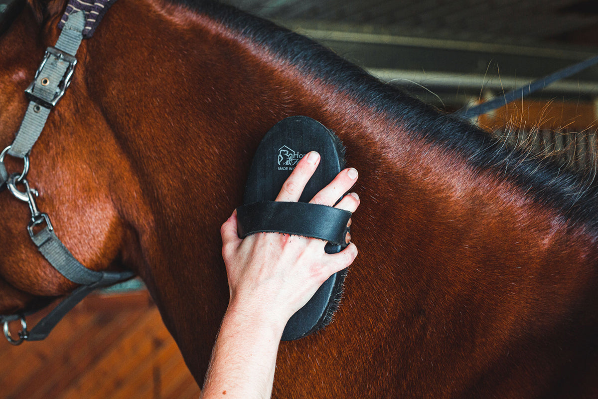HorseHaus Grooming