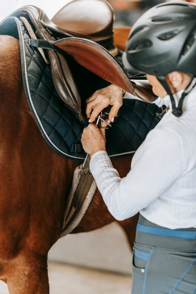 All Horse Products