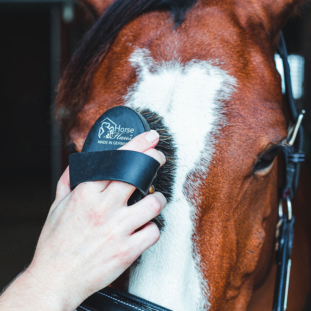 German-Made Horse Grooming Brushes for Every Step of Grooming