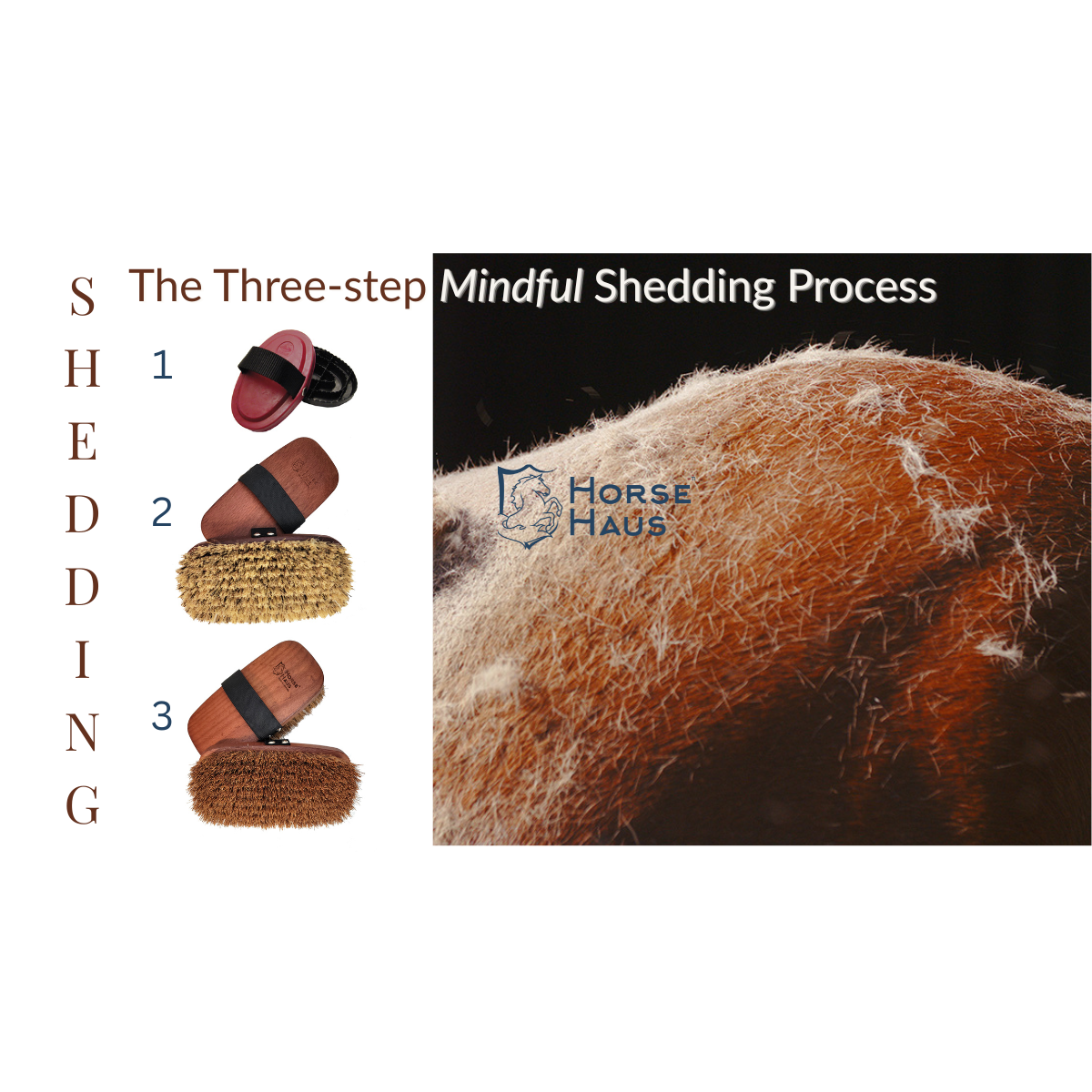 The Mindful Shedding Trio