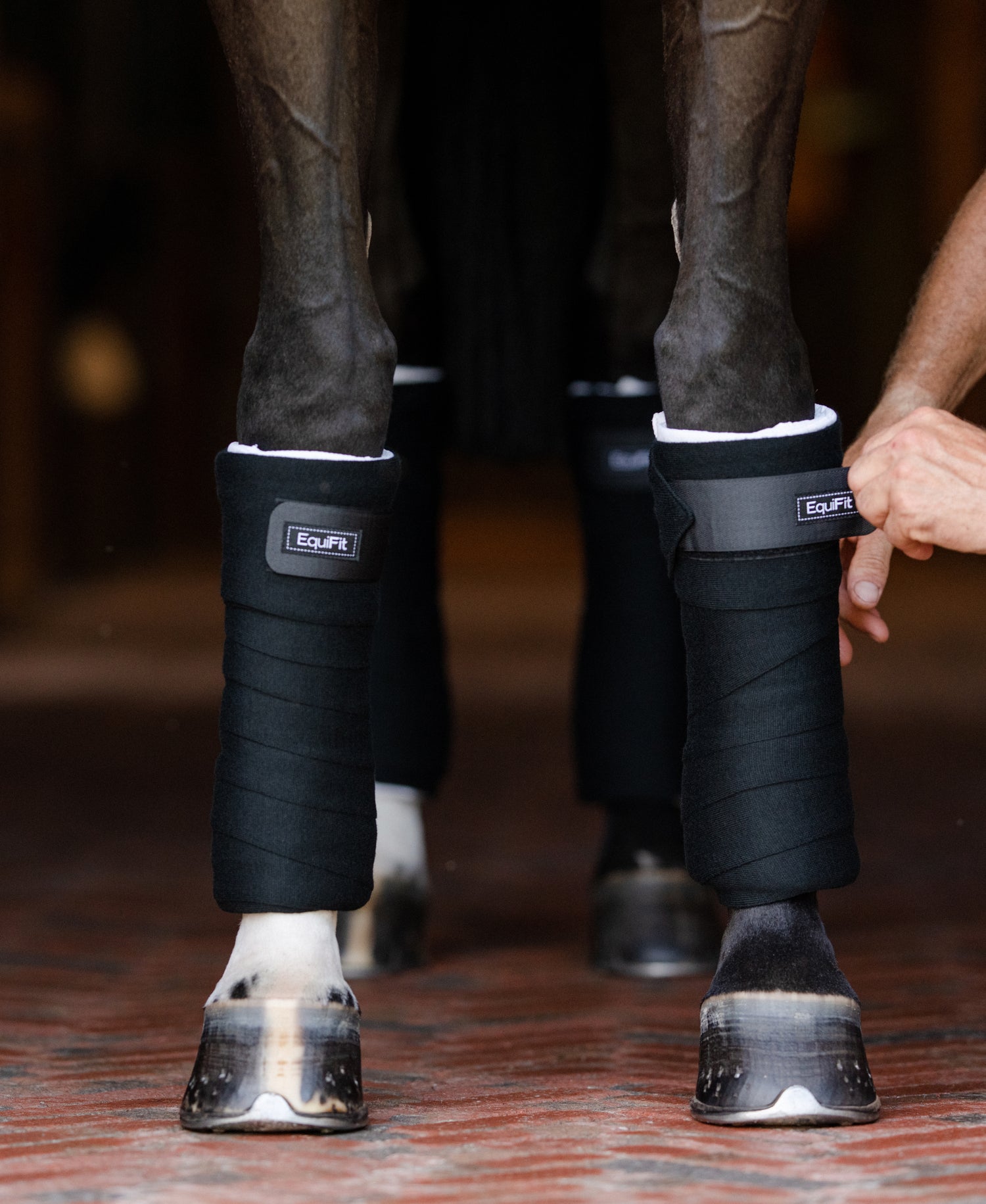 Propillow Wrap - EquiFit