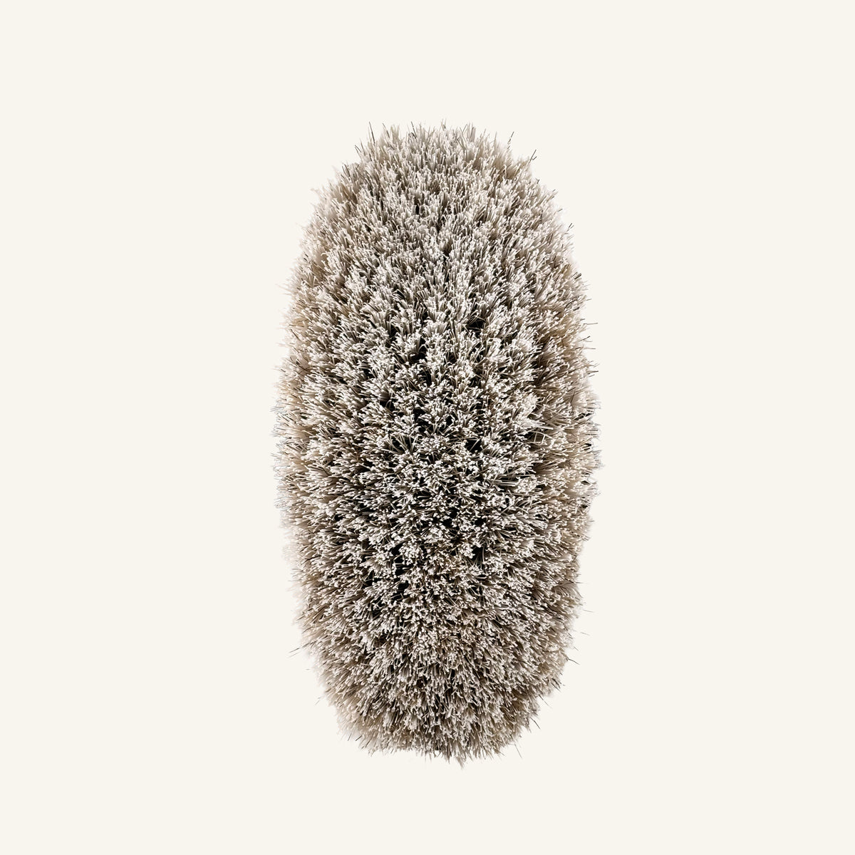 Haas Kopfbürste Face Brush – Medium-soft, White Bristle