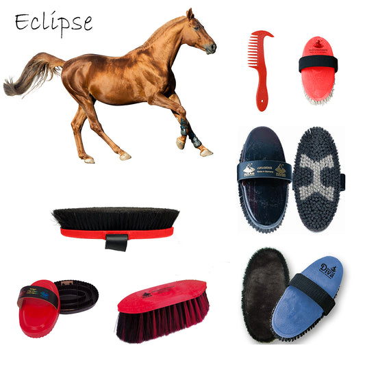 Horse Grooming Set "Eclipse" | Haas