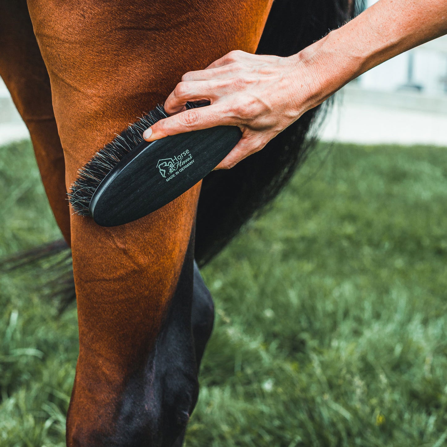 HorseHaus Grooming Set "Black Onyx" | XL Brushes for Sensitive Horses