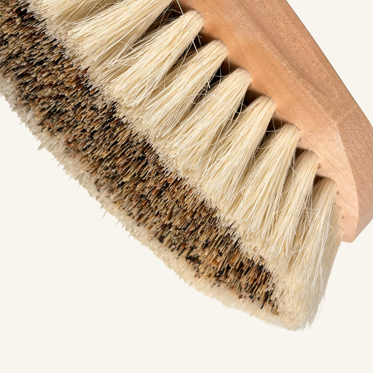 Medium Firm Dandy Brush - Natural