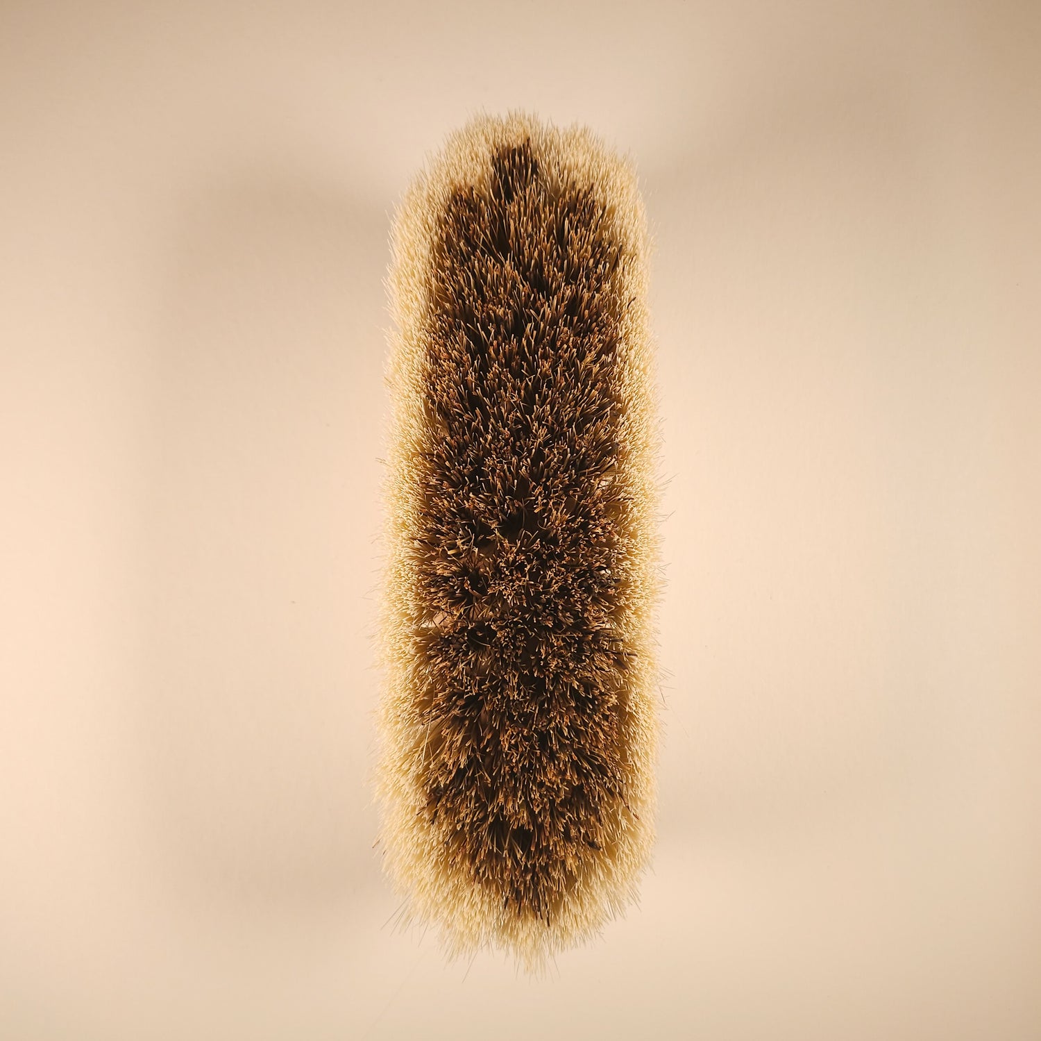 Medium Firm Dandy Brush - Natural