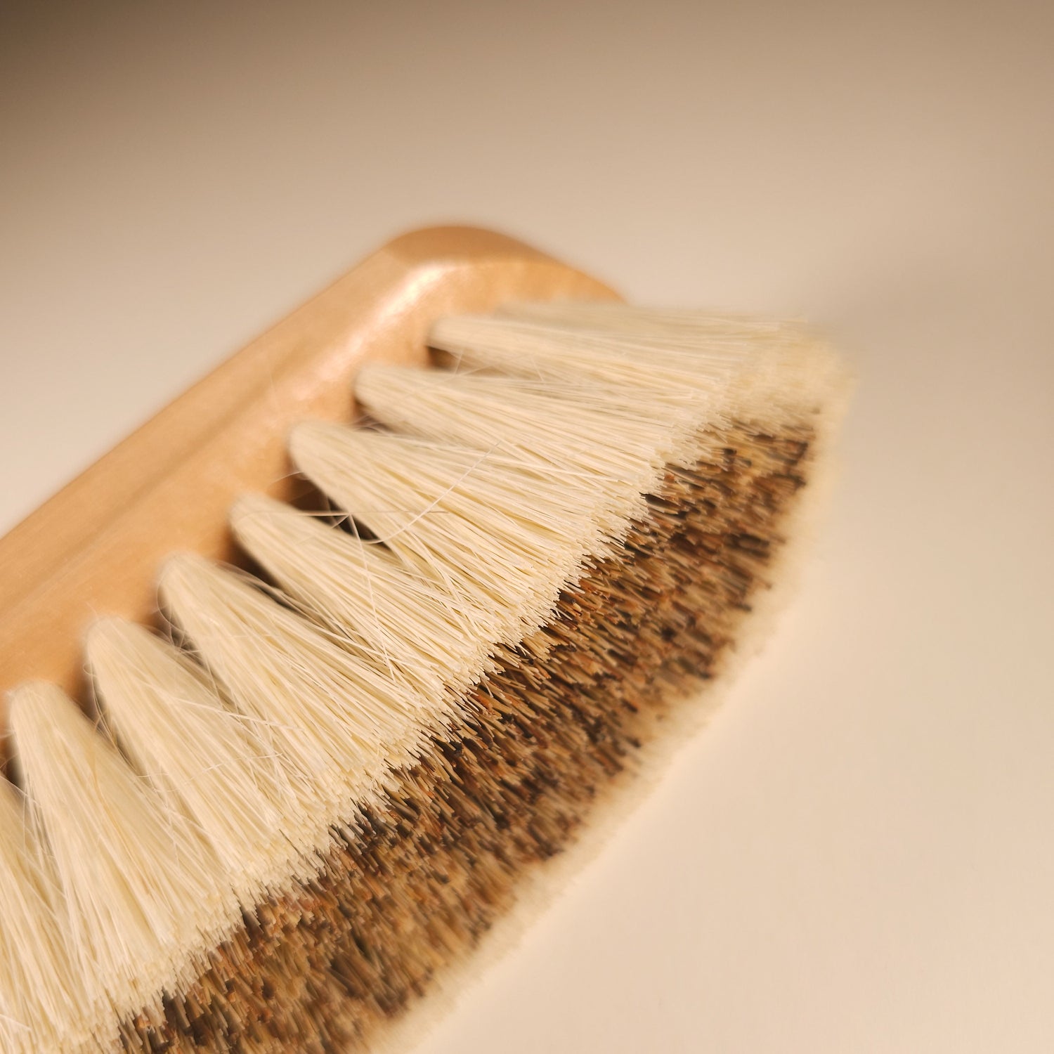 Medium Firm Dandy Brush - Natural