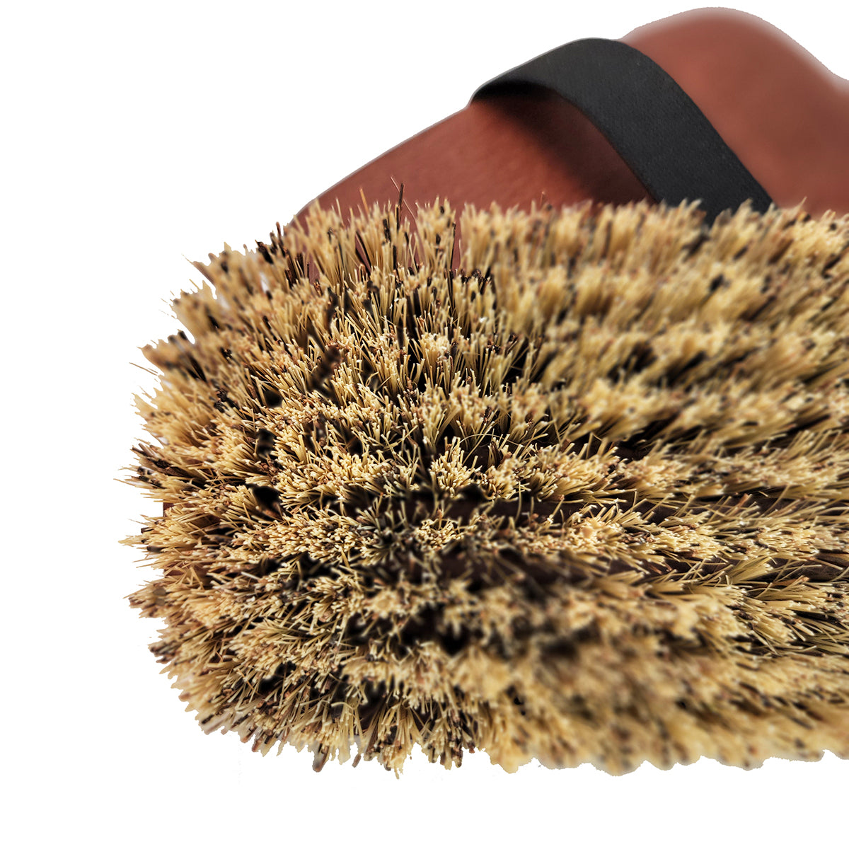 firm bristles on a natural horse grooming brush