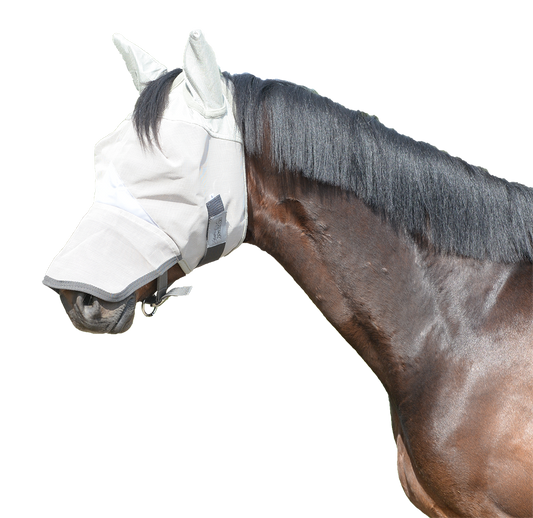 bay horse with gray horse fly mask