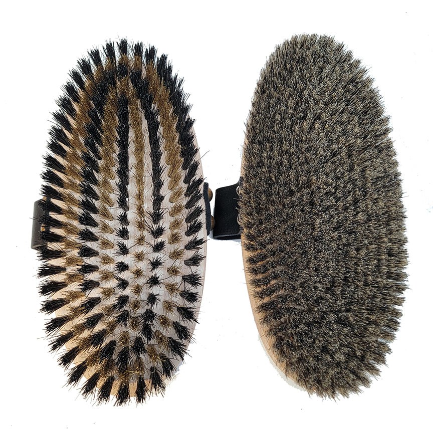 two horse grooming brushes