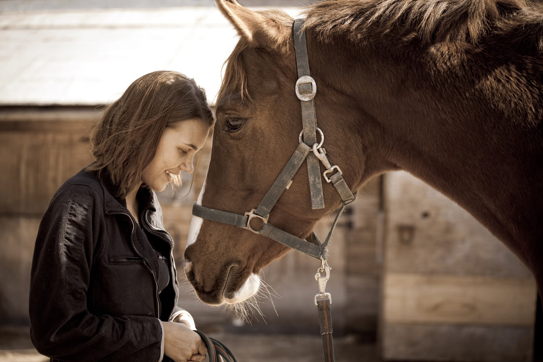 Safety Halters - Life Savers or 'Nice to Have'?