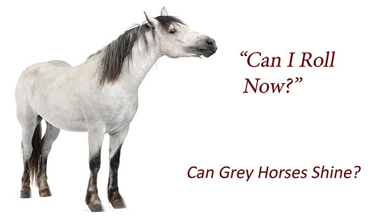 Can Grey and White Horses Shine?