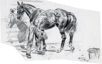 an old-school groom brushes a horse with a body brush