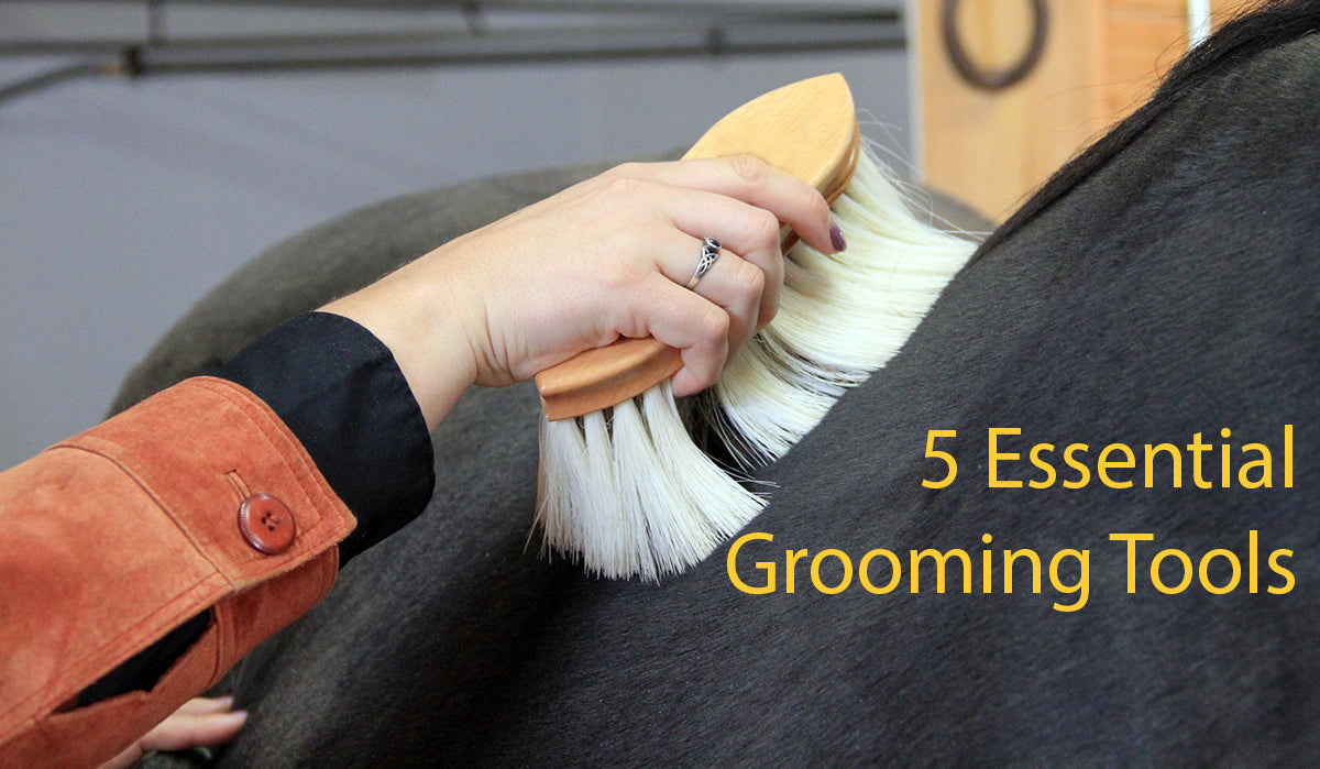 The 5 Essential Horse Grooming Tools Every Rider Should Own