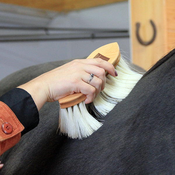 Elbow Grease vs. Chemical Magic: Grooming Your Horse to Shine in 4 Steps