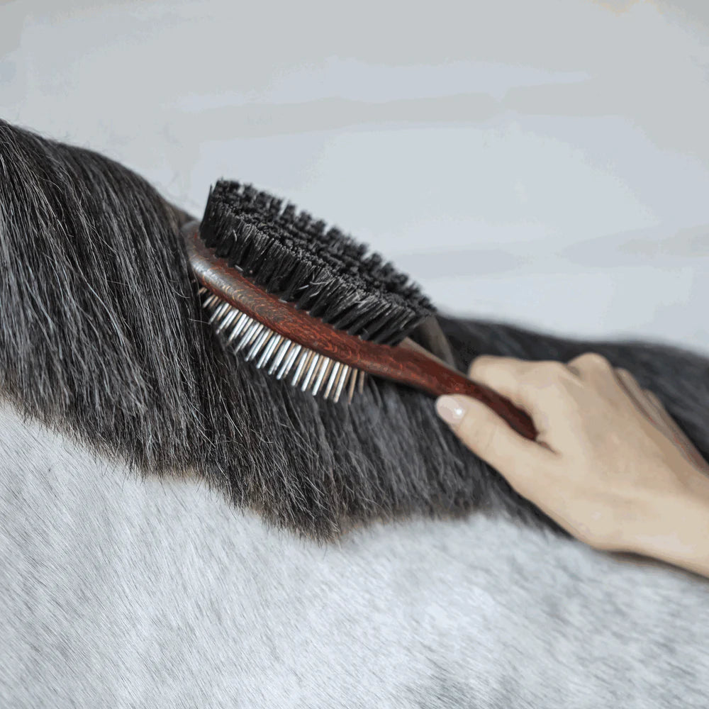 HS Mane Brush — Dual-Sided