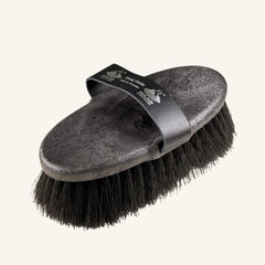 Haas Brenig Madoc body brush for horses size XL
