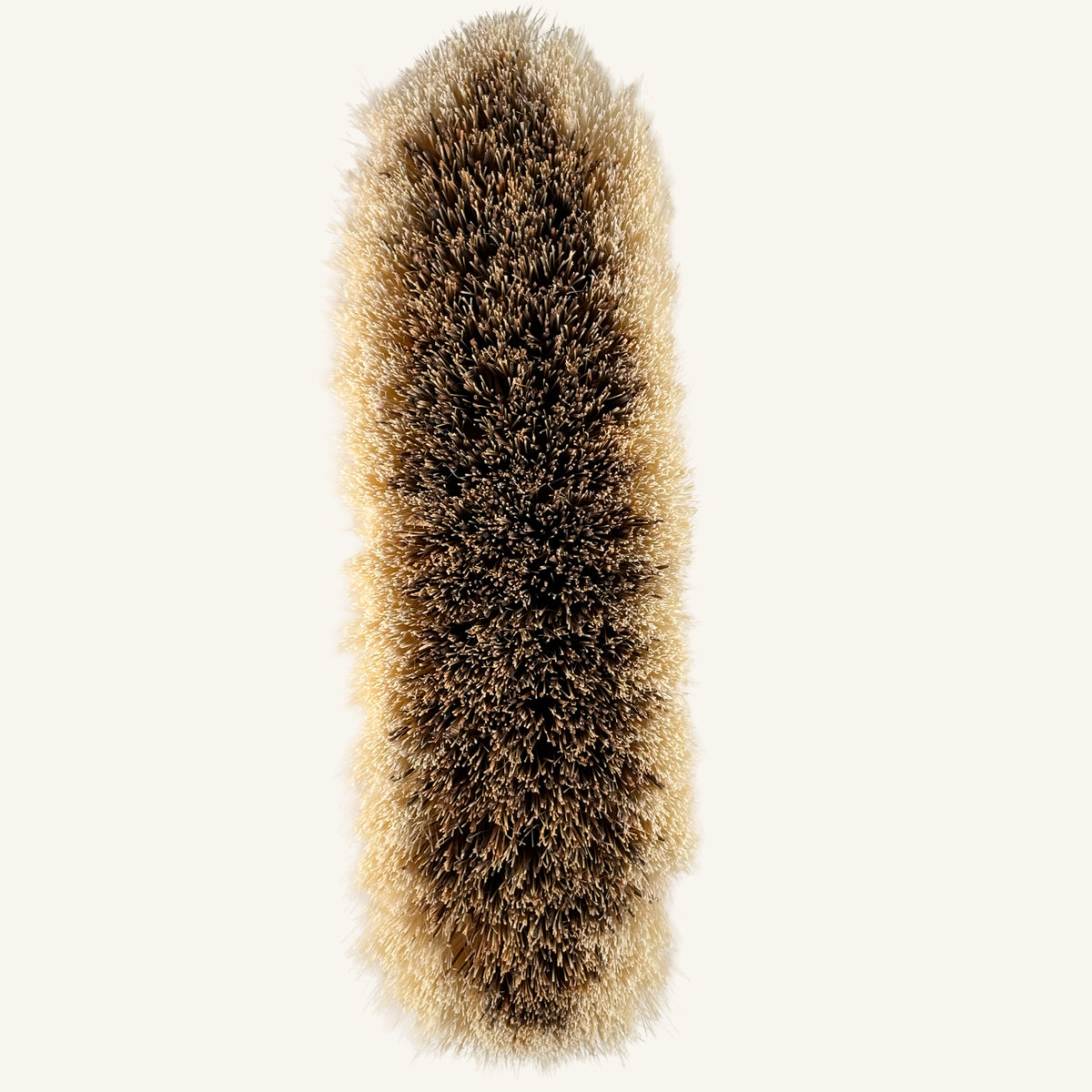 Medium Firm Dandy Brush - Natural
