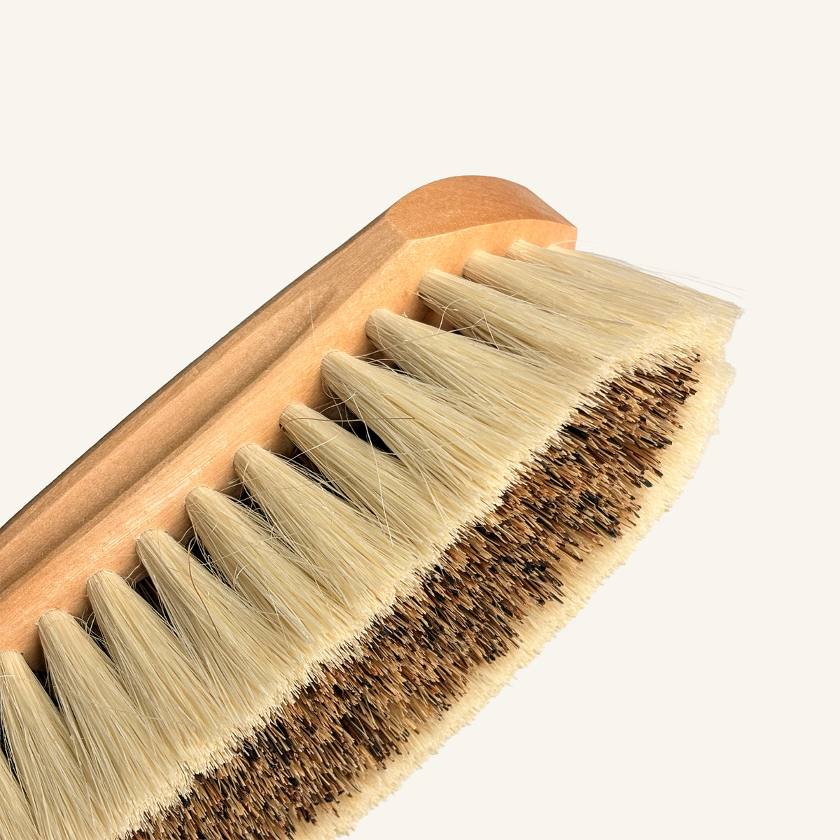 Medium Firm Dandy Brush - Natural