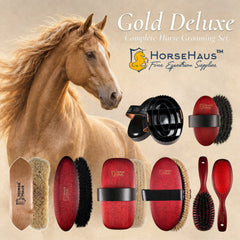 Horse grooming set displayed with a large tan horse in the background and the HorseHaus branding at the top. The set includes several brushes and a grooming mitt in red, black, beige, and wood tones on a light beige backdrop.