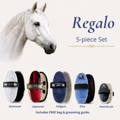 Haas horse brush set for white or light-colored horses, curated by HorseHaus. This set includes the Schimmel, Lipizzaner, Fellglanz and Diva brushes.