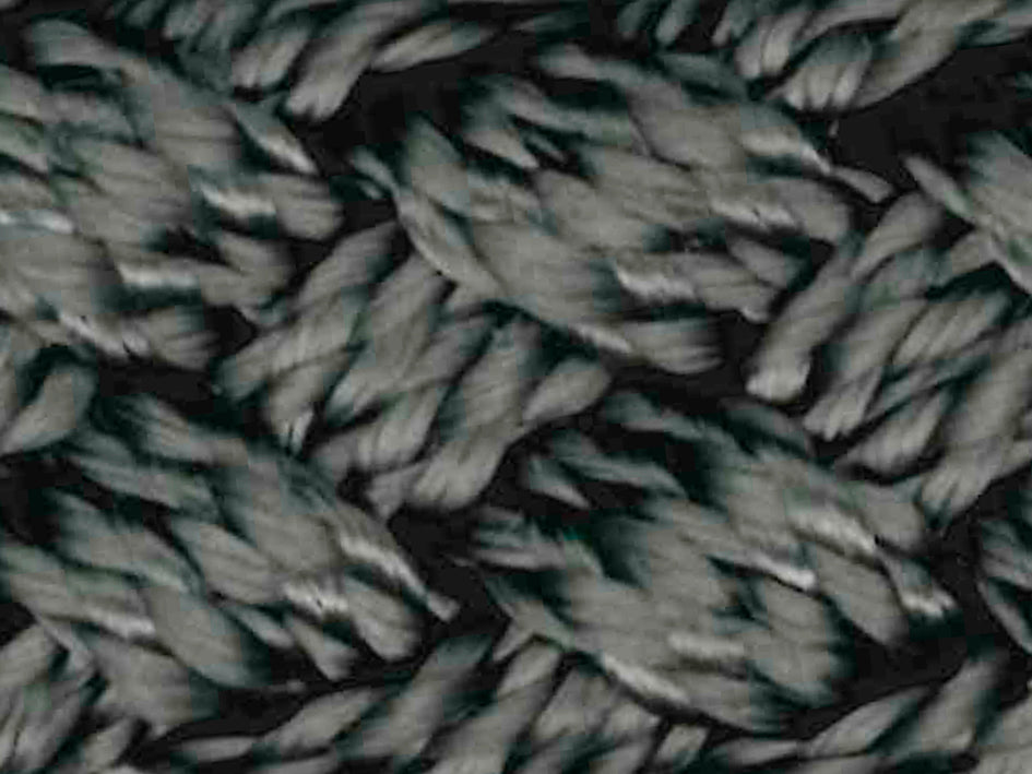 dark grey lead rope