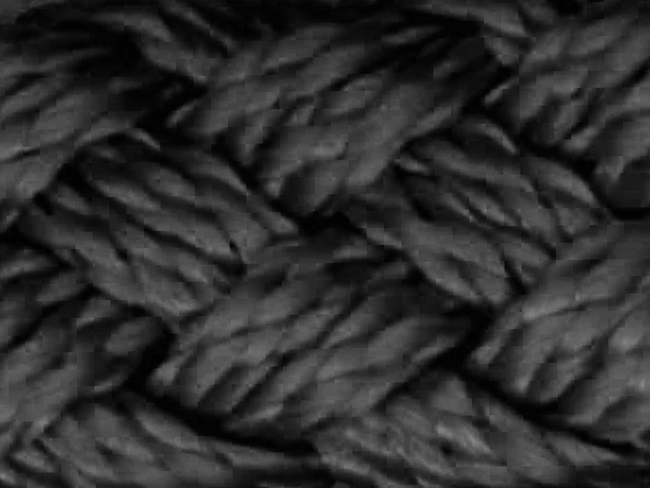 black lead rope