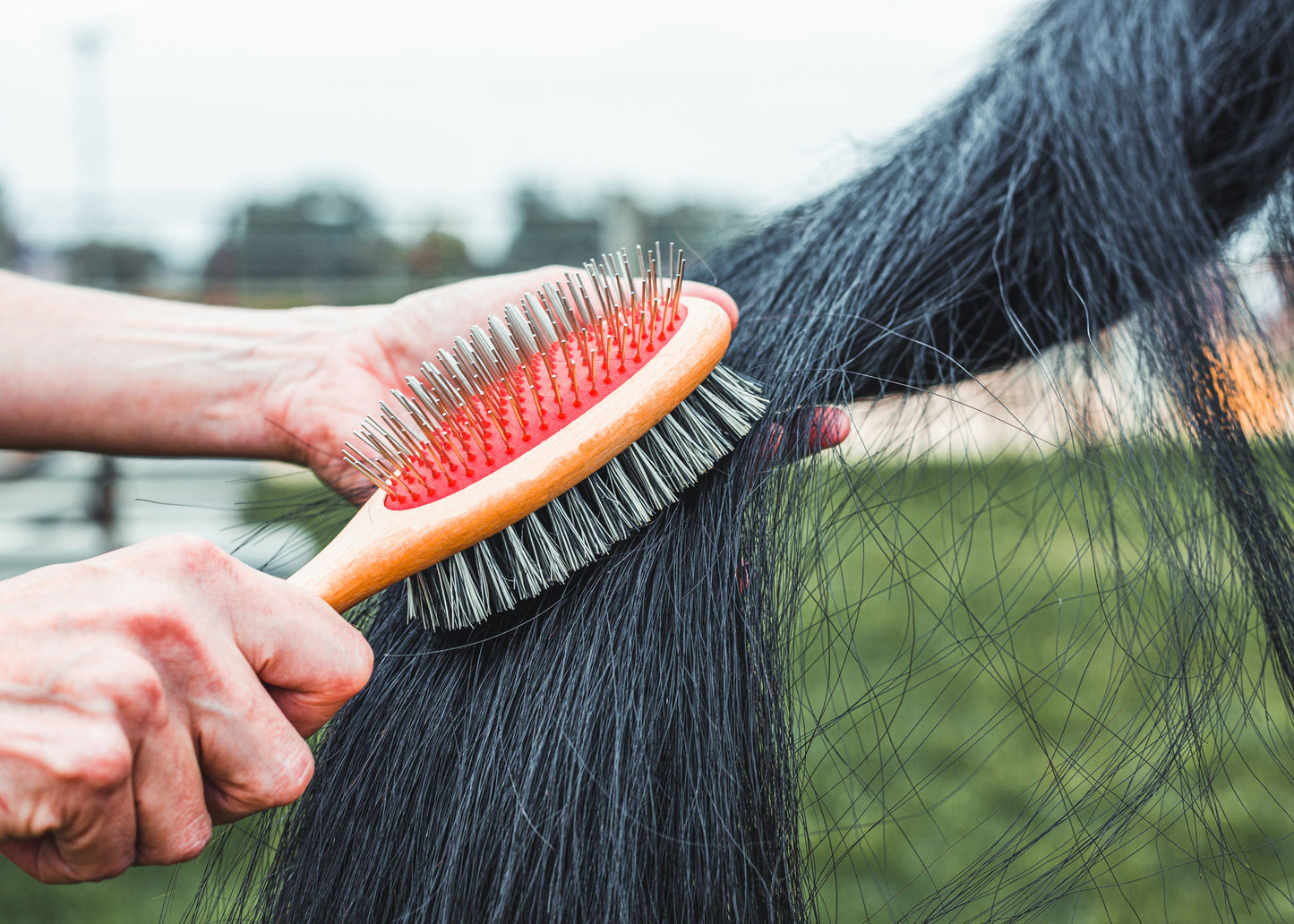 Double-sided horse brush for tail and mane HFI - Brushes and