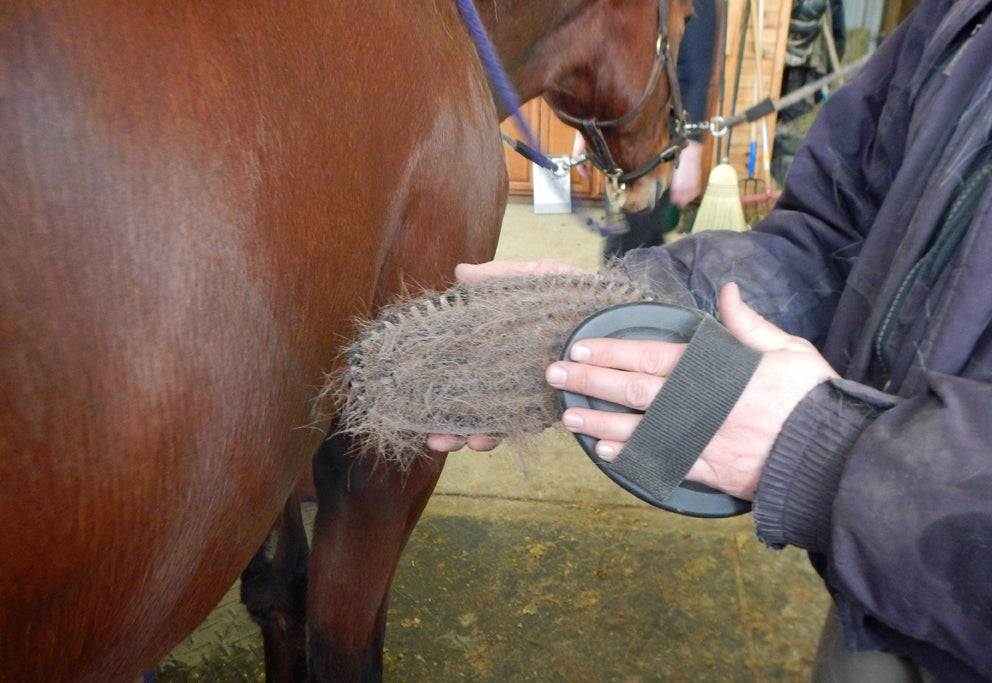 Mud &amp; Shedding Brush "Curly"